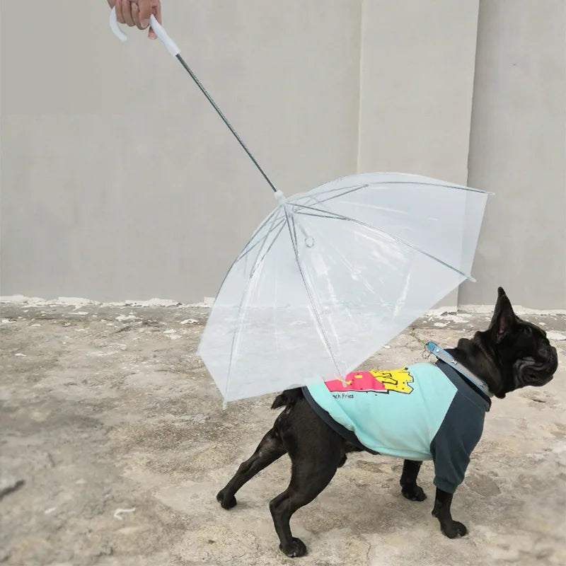 Dog Umbrella