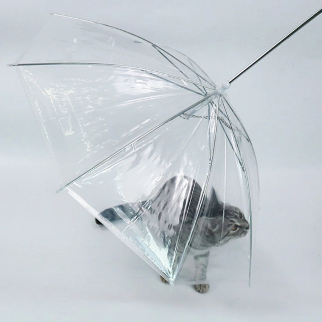 Dog Umbrella
