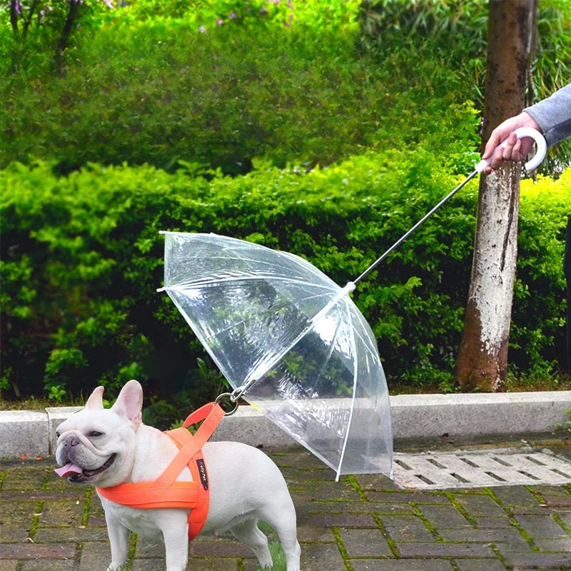 Dog Umbrella