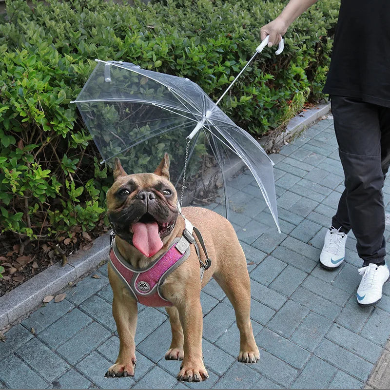 Dog Umbrella