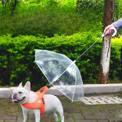Dog Umbrella